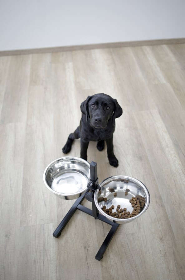 KERBL Napf Futterbar